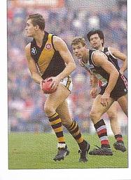 1990 Select AFL Stickers #192 Des Ryan Front